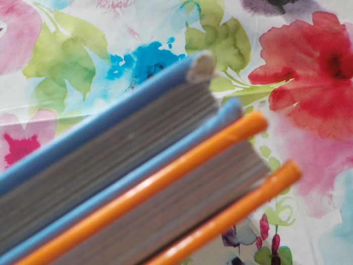 Dumbo et La Princesse Grenouille Les Classiques Disney Ed. France Loisirs - photo numéro 5