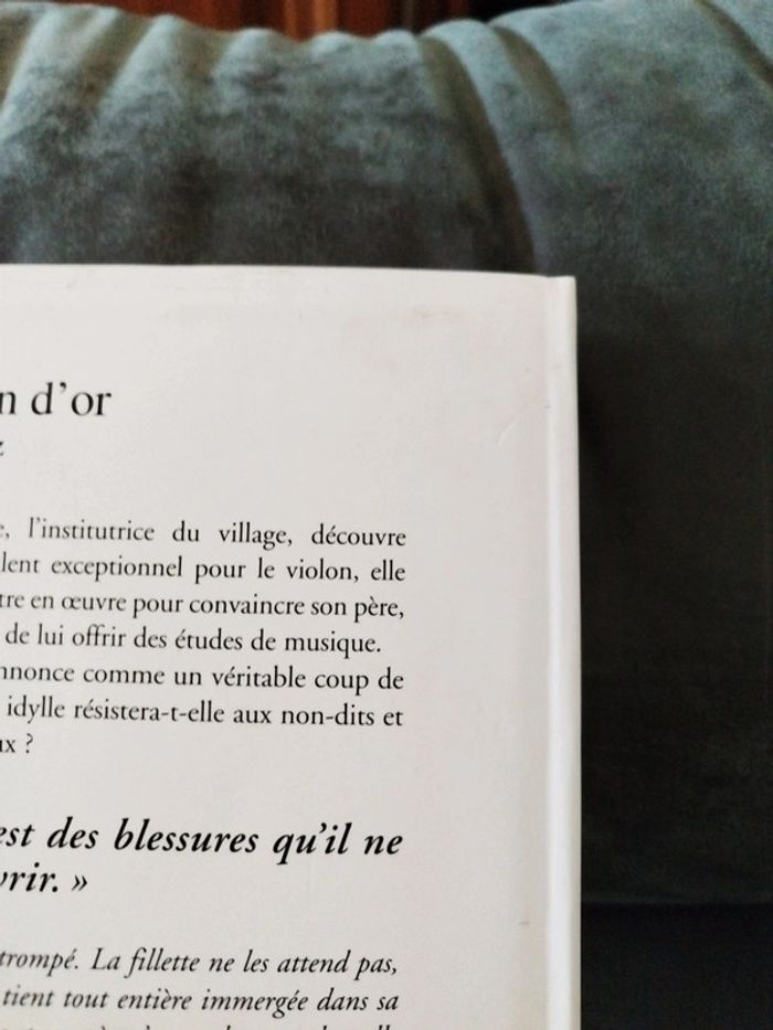 Le violon d'or de Albert Ducloz - photo numéro 4