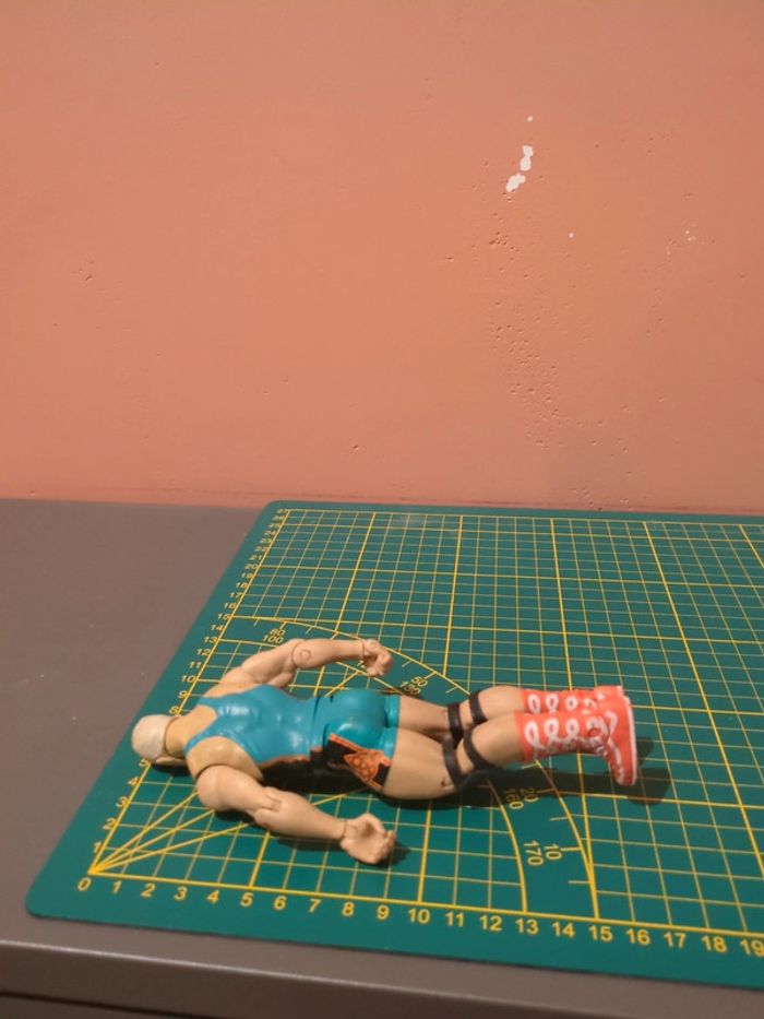 Wwe fit Finlay - photo numéro 3