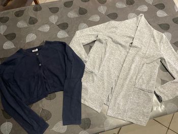 Lot 2 gilets Gemo 12 ans