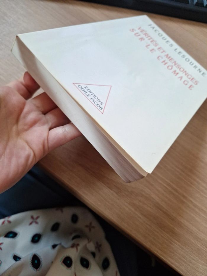 Vérités et mensonge sur le chômage - photo numéro 3