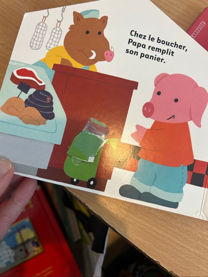 14 livres à volets - photo numéro 9