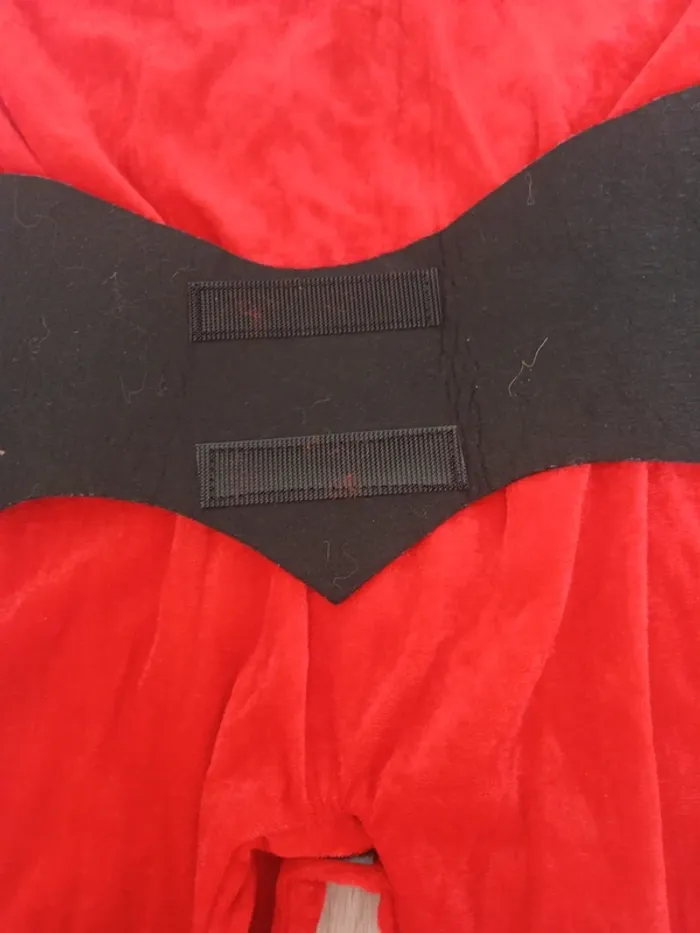 Deguisement diablotin - photo numéro 3