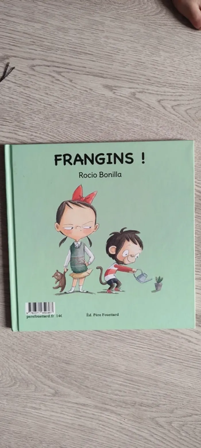 Livre enfant, Frangins - photo numéro 4