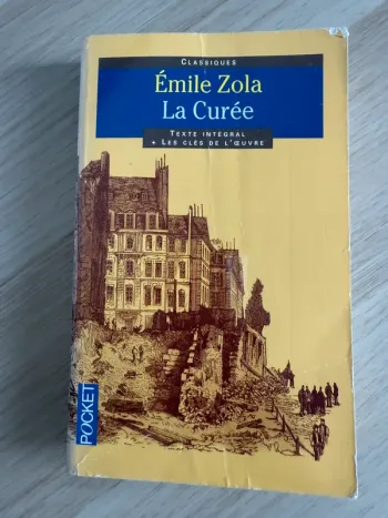 Émile Zola la curée