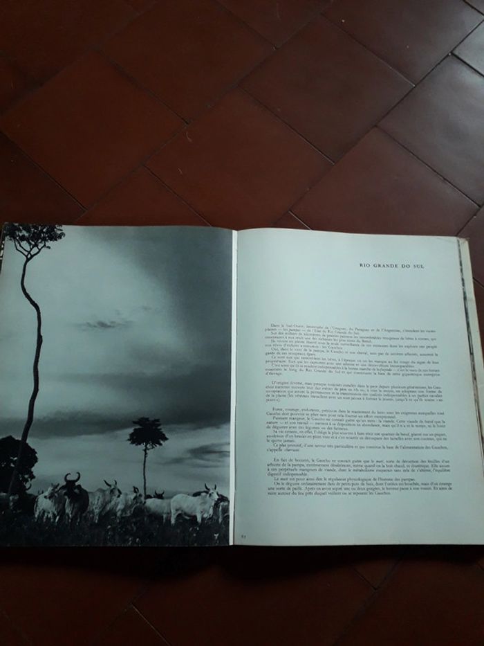 Livre Féerie Brésilienne - photo numéro 3