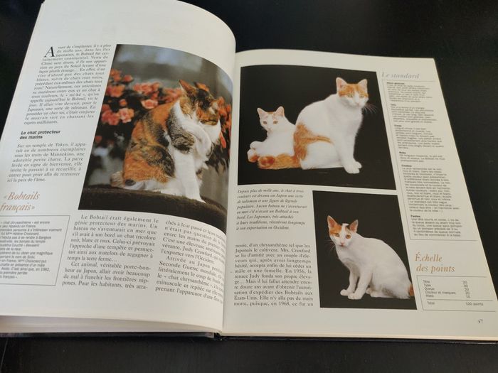 Livre 238 pages - Les chats de Race - photo numéro 9