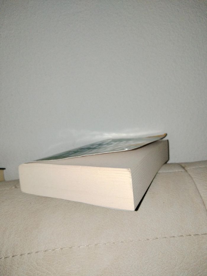 Livre "À tout jamais" de Colleen Hoover - photo numéro 2