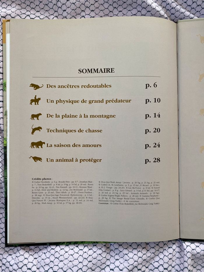 Livre Altlas jeunesse Le tigre - photo numéro 3