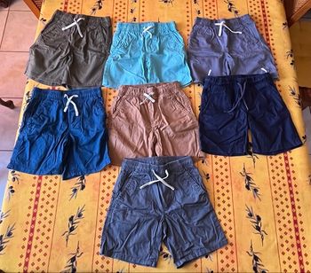 Lot 7 shorts