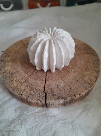 Cactus  en plâtre à peindre