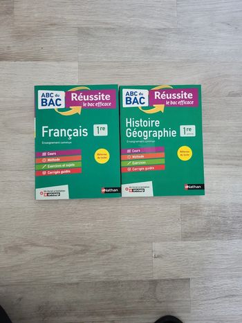 Lot de 2 annales première