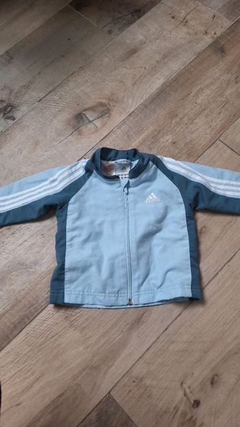 Gilet Adidas