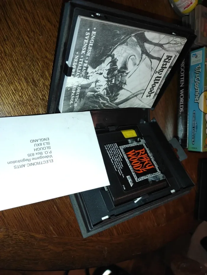 Risky woods Sega Megadrive - photo numéro 4