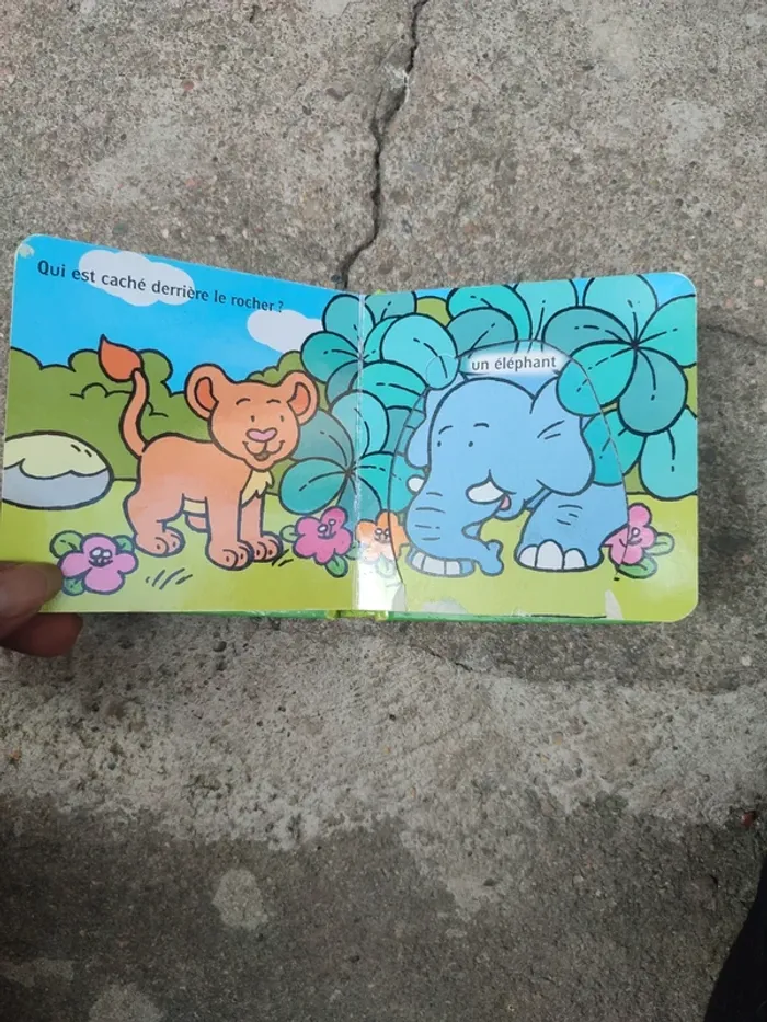 Livre la jungle - photo numéro 13