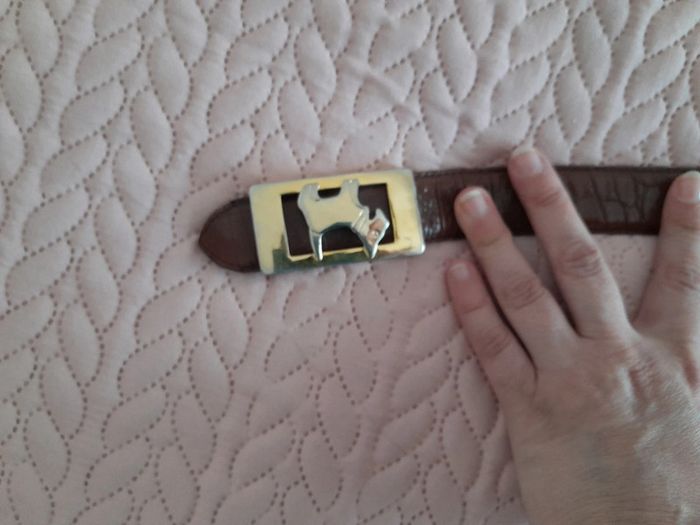 Ceinture Chipie - photo numéro 2