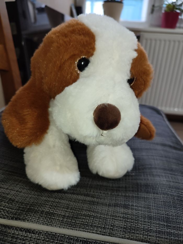 Chien interactive Titus