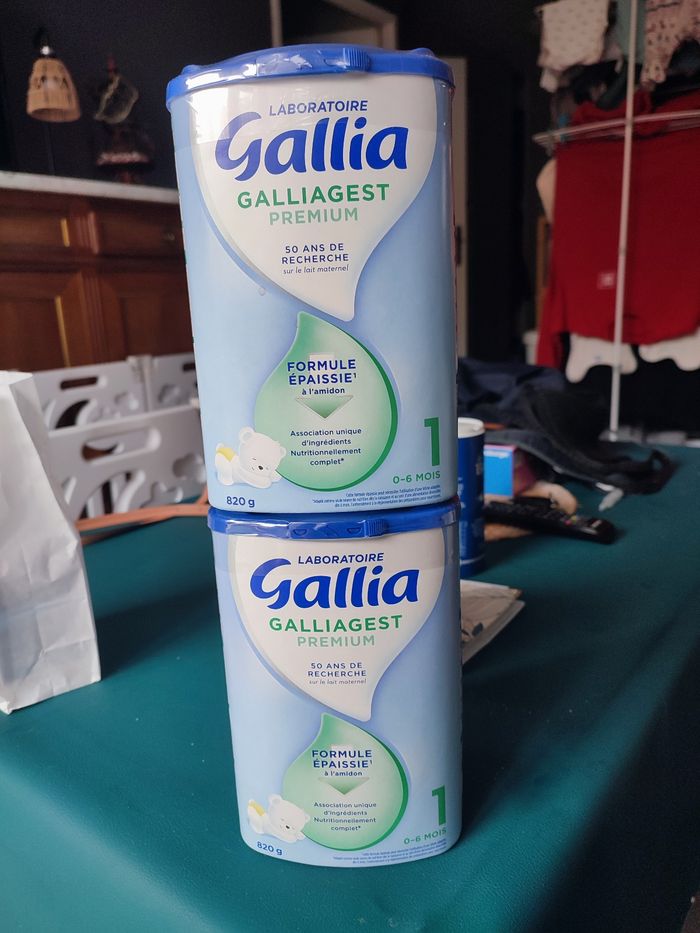 Galliagest 1 - photo numéro 2