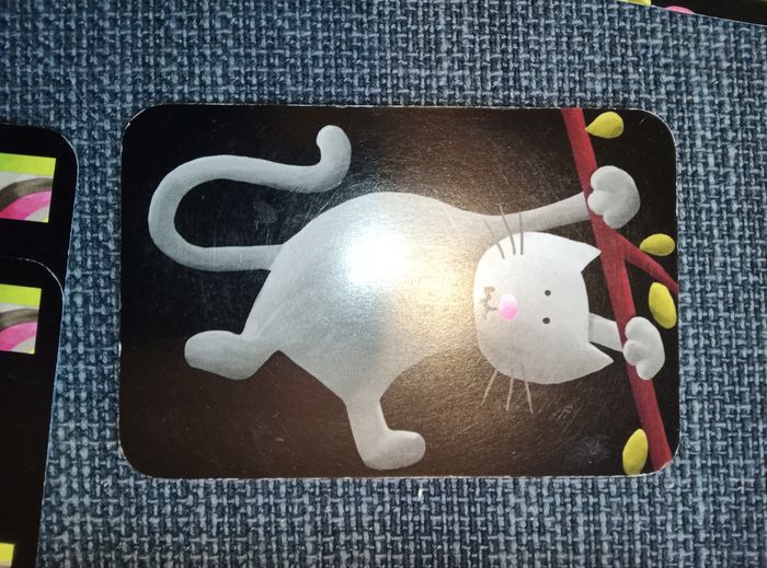 Mistigri, Djeco, 4 -7  ans - photo numéro 6