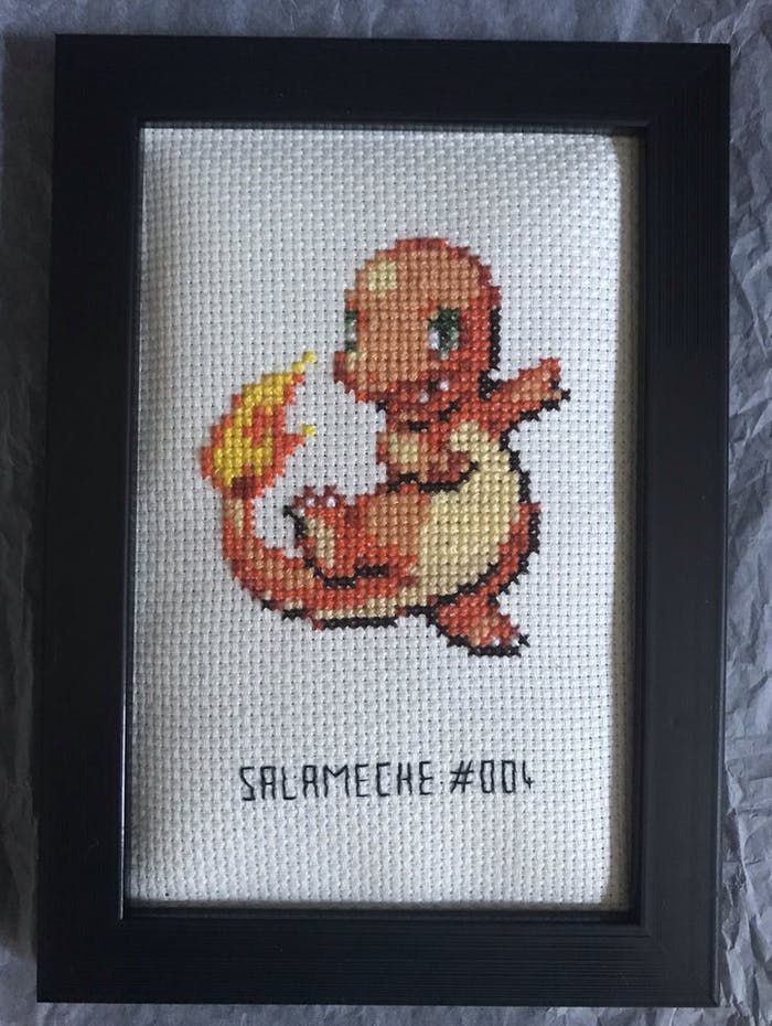 Cadre Salamèche Pokémon