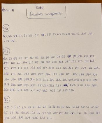 Lot diddl personnalisé 