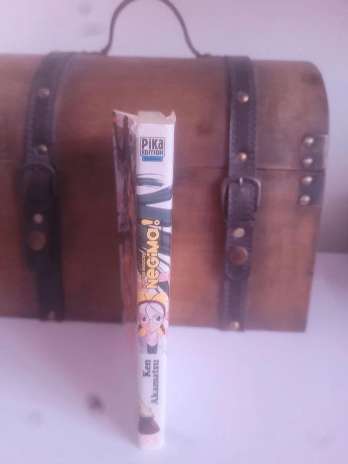 Manga Negima tome 33 - photo numéro 4