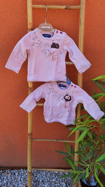 Lot tee shirt 9 mois