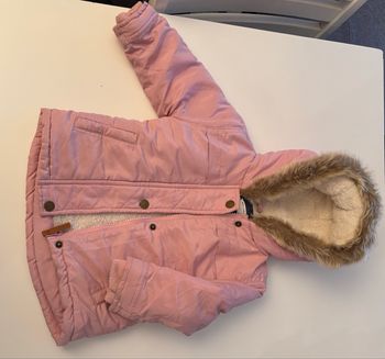 Parka rose