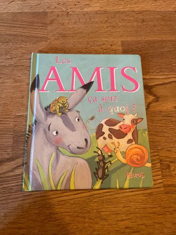 Livre Les amis ça sert à quoi ?