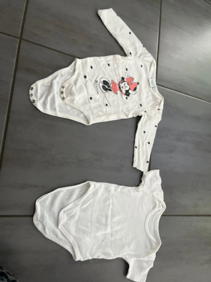 Lot body