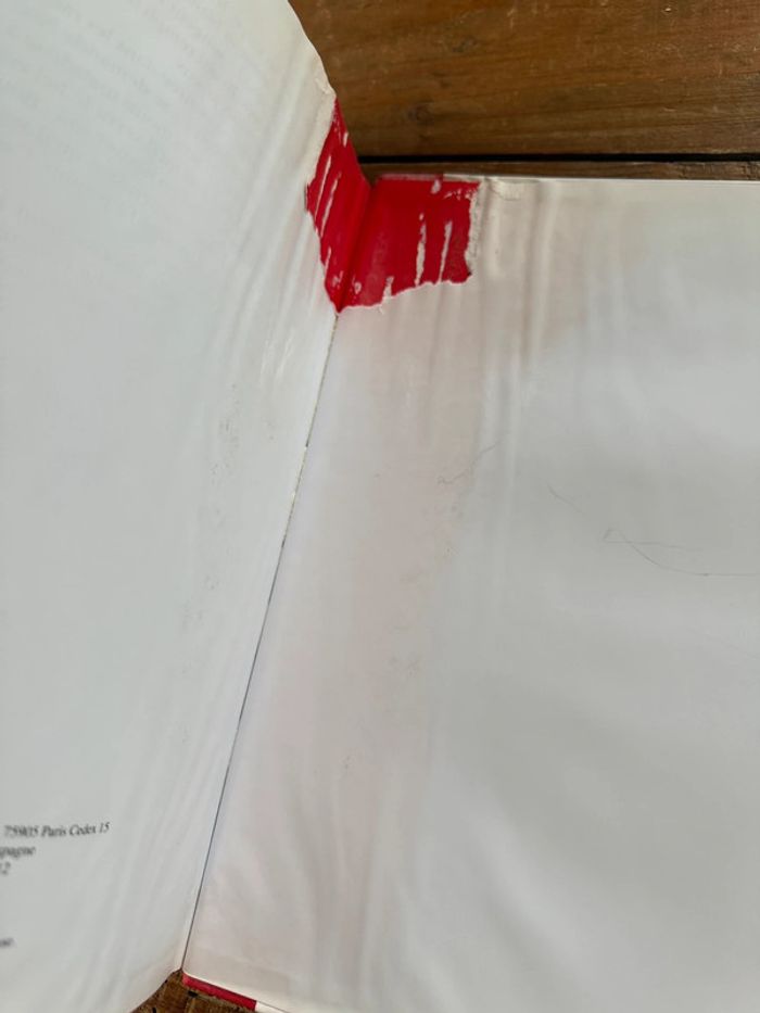 Moyen 1 - Livre édition limitée reliure rouge Caroline dans les Alpages Pierre Probst bd - photo numéro 18