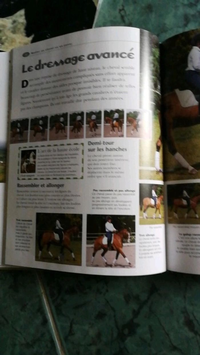 2 Livres neufs du cheval et du poney - photo numéro 3