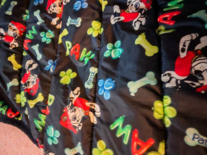 Veste sans manche Pat Patrouille 4/5 ans - photo numéro 2