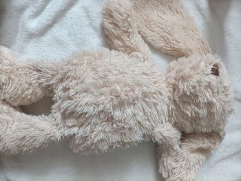 Adorable nounours-lapin blanc