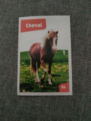 Autocollant nos amies les bêtes