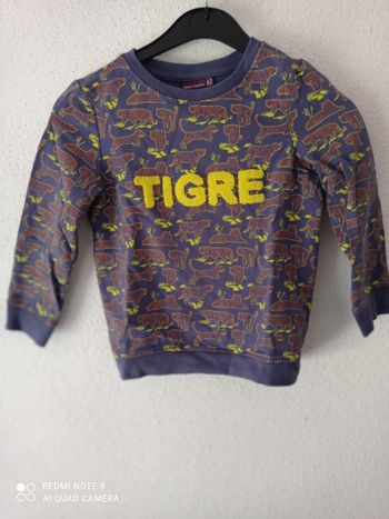 Pull tigre