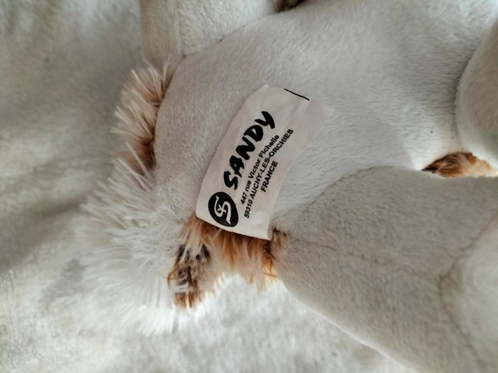 Chien loup  marron et blanc - photo numéro 5