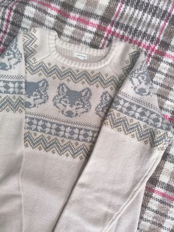 Pull mixte 🐺 12 ans