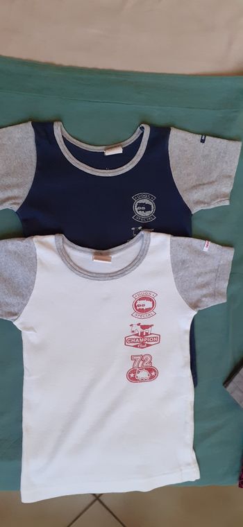 Lot de 2 tee-shirts garçon  2-3 ans
