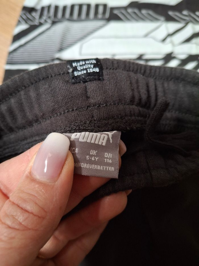 Ensemble puma - photo numéro 2