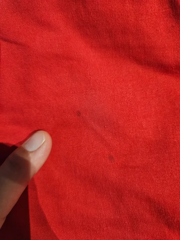 Chino - photo numéro 9