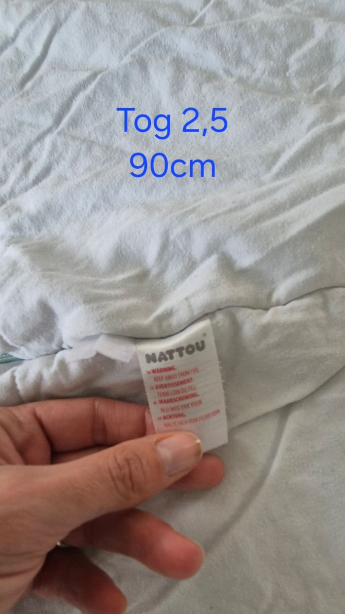 Gigoteuse hiver - photo numéro 5