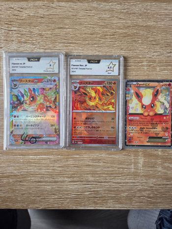 Lot de 3 Cartes Pyroli 
