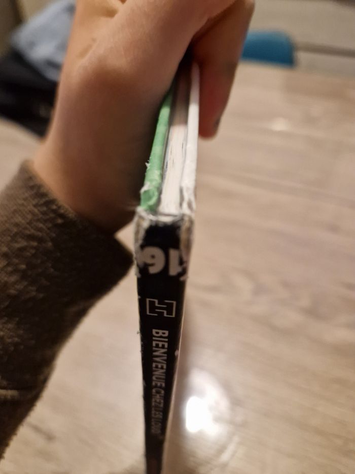 BD bienvenue chez les loud - photo numéro 4