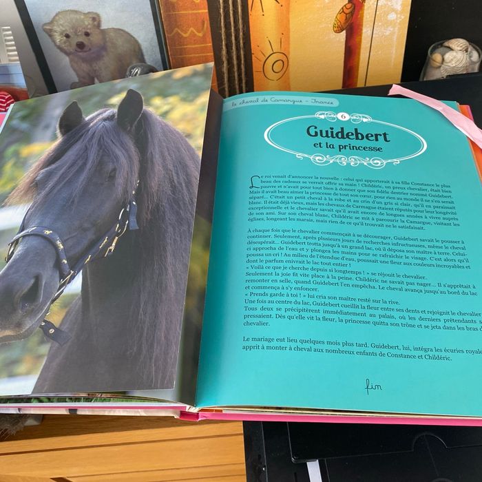 Mes histoires de chevaux du monde - photo numéro 3