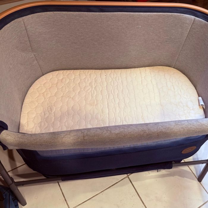 Cododo - photo numéro 2