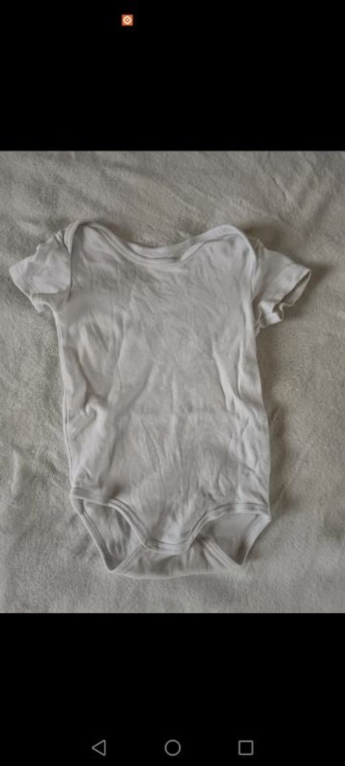 Body