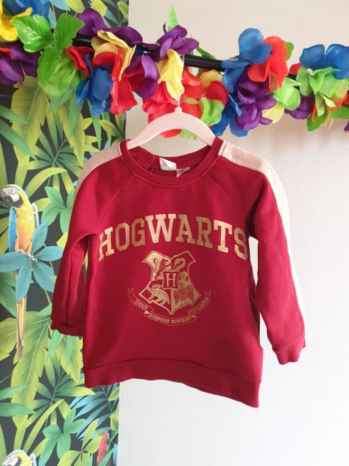 Sweat mixte Hardy potter