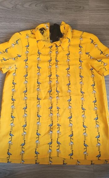 Blouse femme en 36 Zara neuve