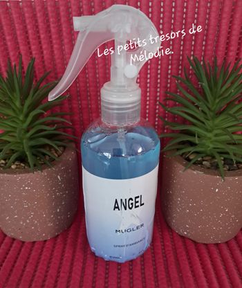 Spray d'intérieur/textile Angel